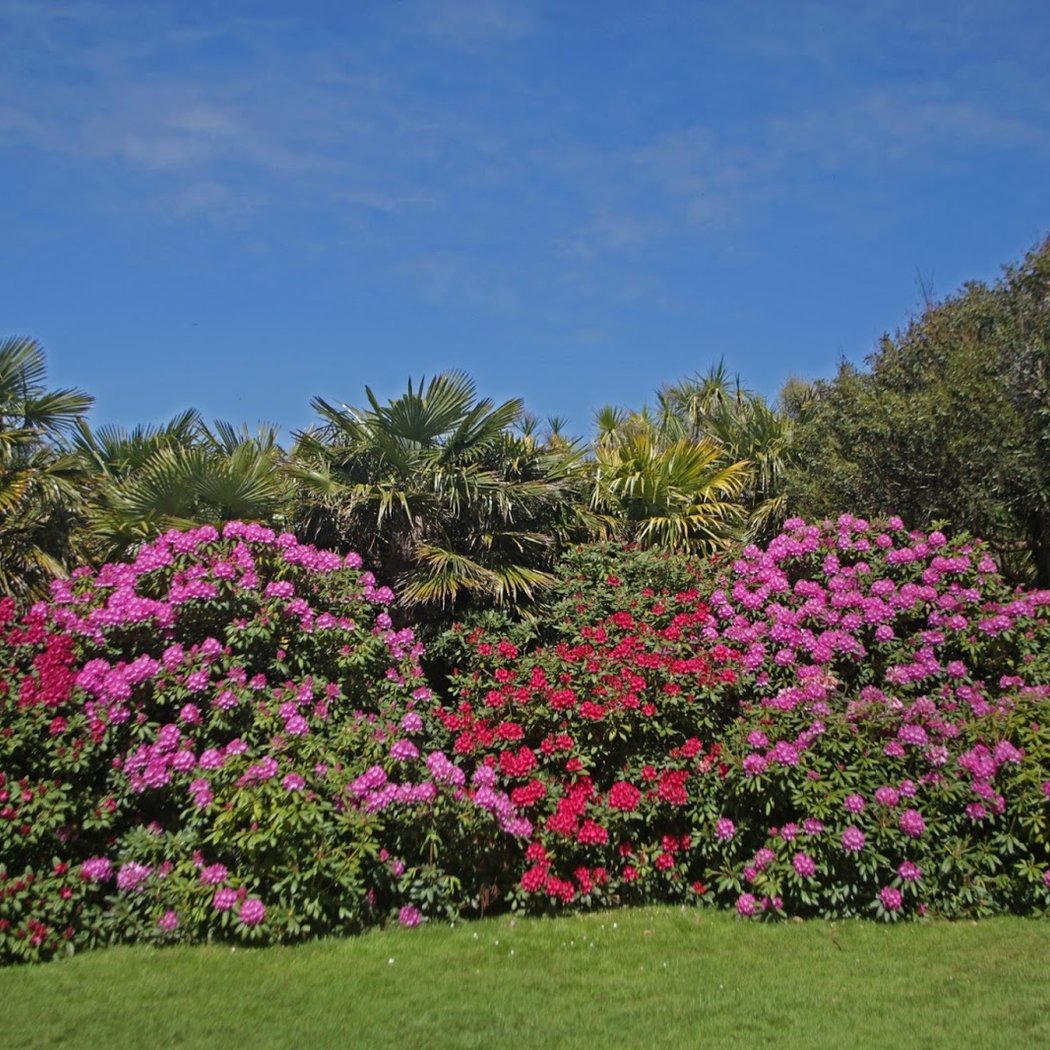 Jardin botanique de Vauville 2